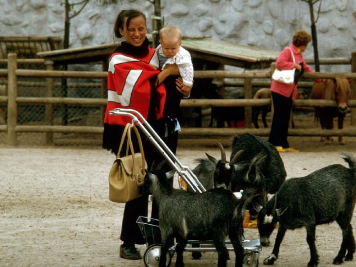  in Busch Gardens, Tampa Bay, Florida.  December 1971